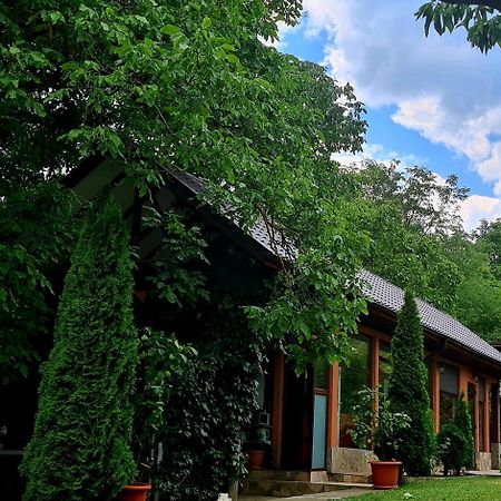 Casa Alex Sărata-Monteoru Exterior foto
