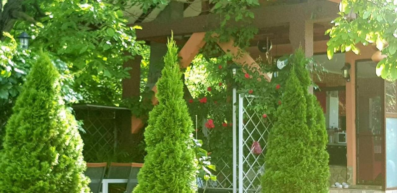 Casa Alex Sărata-Monteoru Exterior foto