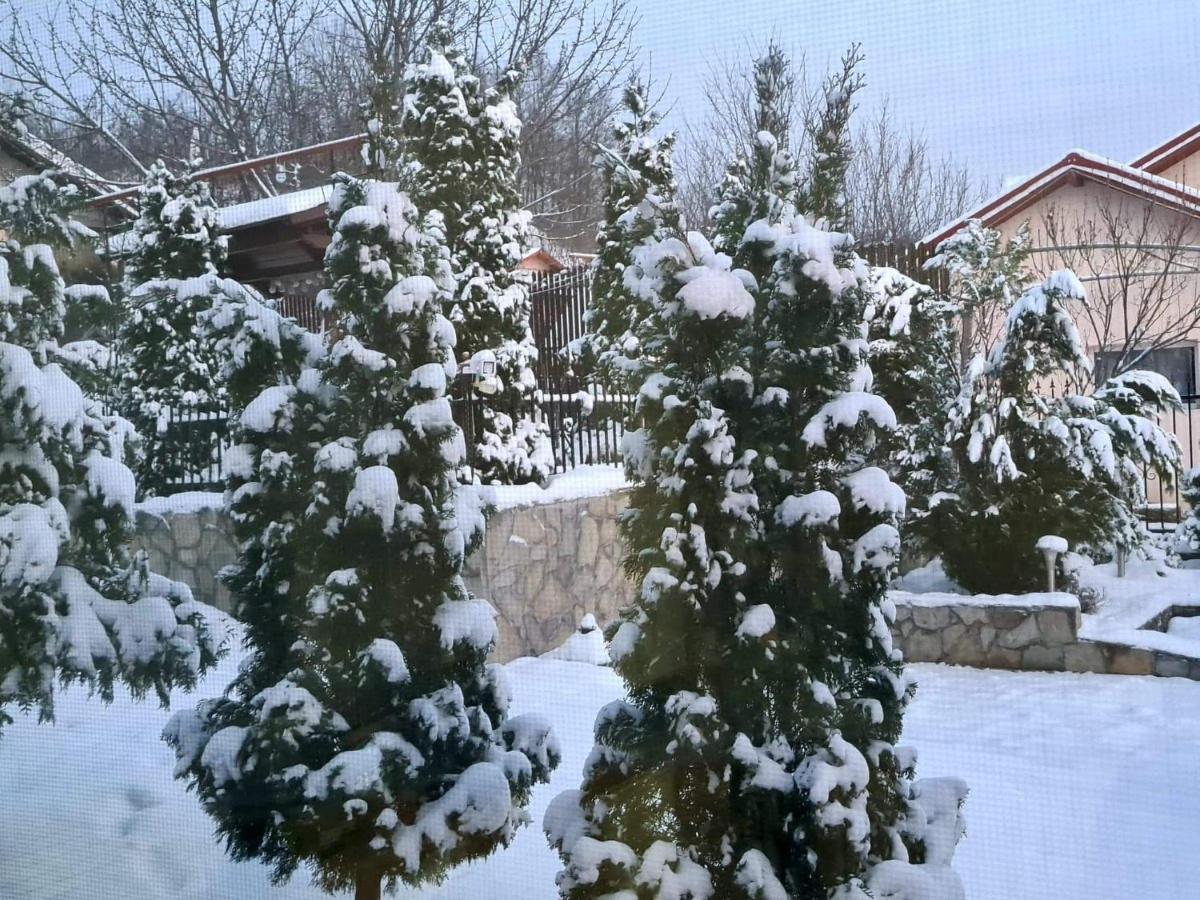 Casa Alex Sărata-Monteoru Exterior foto