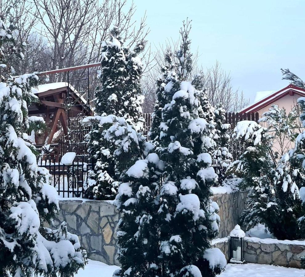 Casa Alex Sărata-Monteoru Exterior foto
