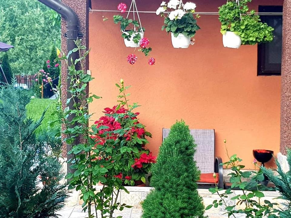 Casa Alex Sărata-Monteoru Exterior foto