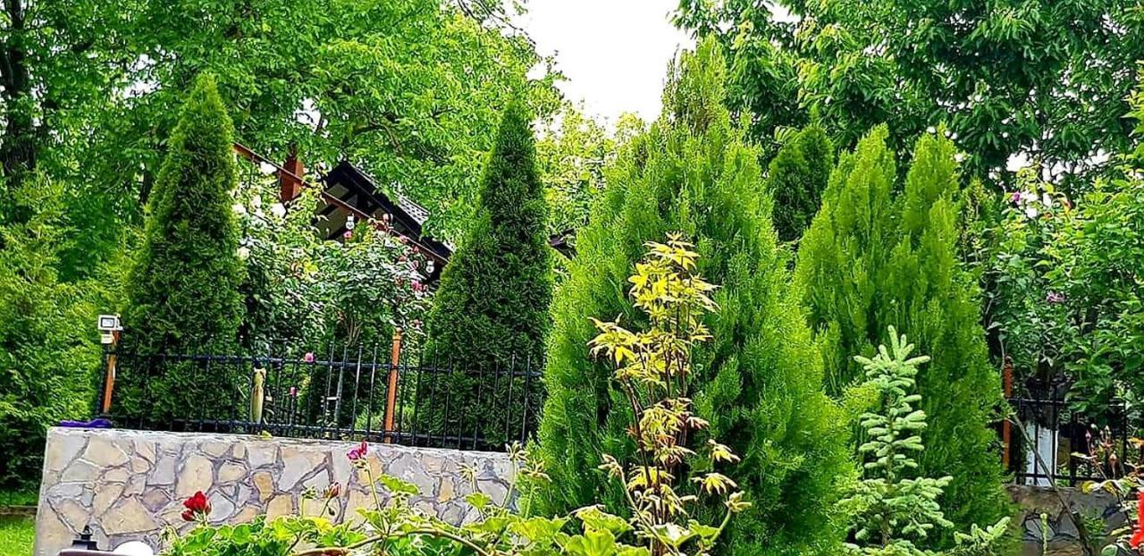 Casa Alex Sărata-Monteoru Exterior foto