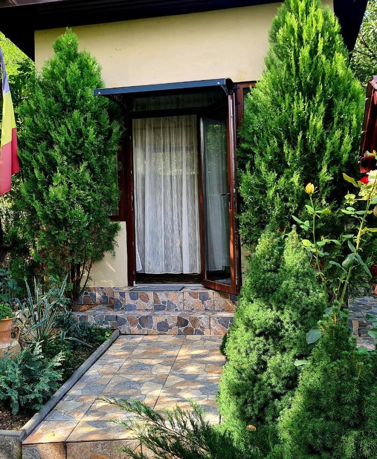 Casa Alex Sărata-Monteoru Exterior foto