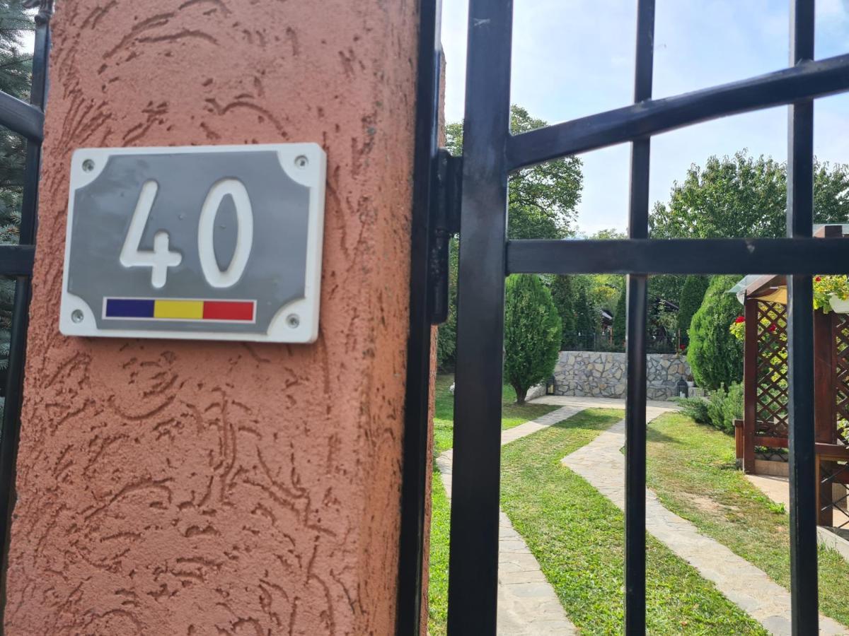 Casa Alex Sărata-Monteoru Exterior foto