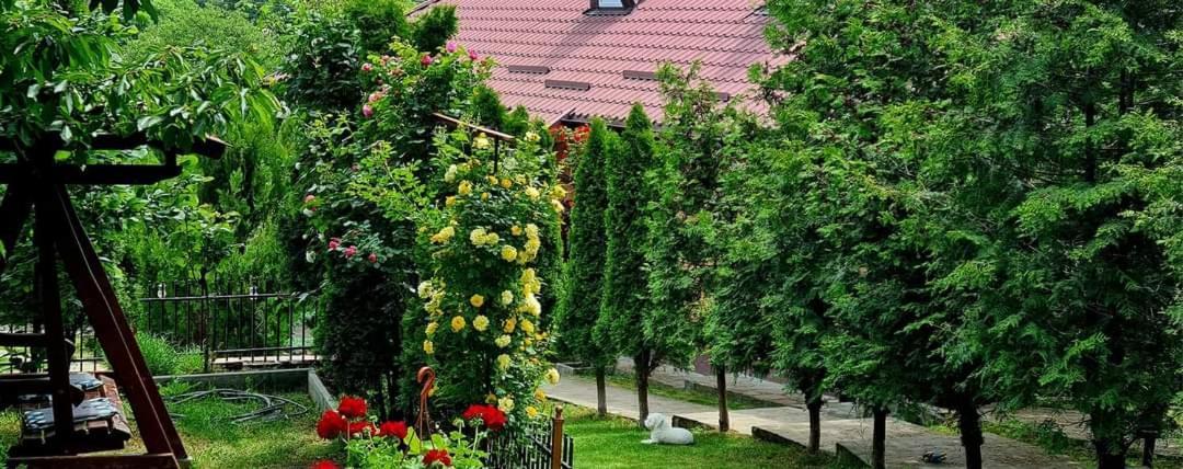 Casa Alex Sărata-Monteoru Exterior foto