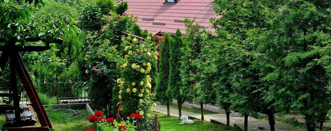 Casa Alex Sărata-Monteoru Exterior foto