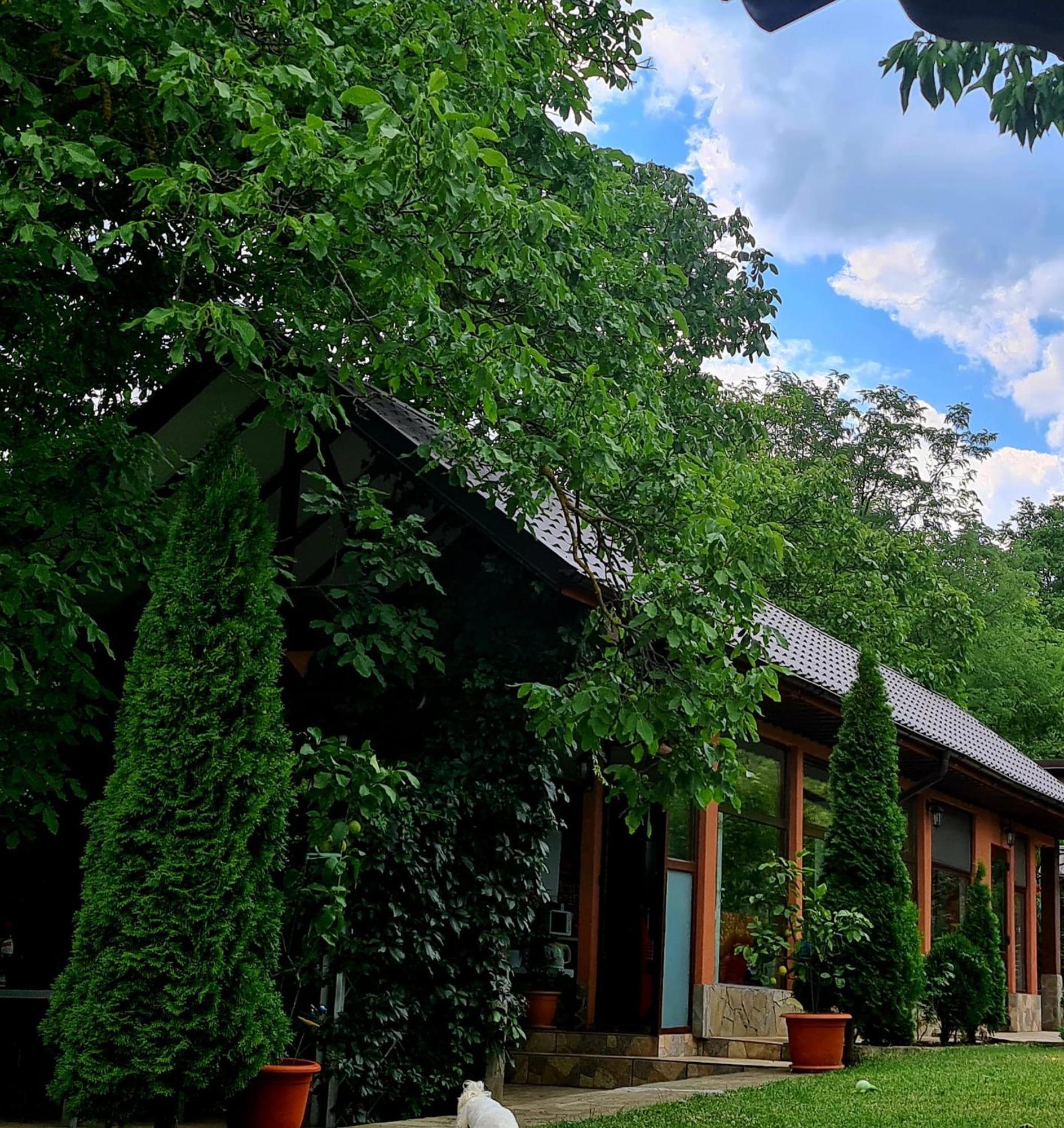 Casa Alex Sărata-Monteoru Exterior foto